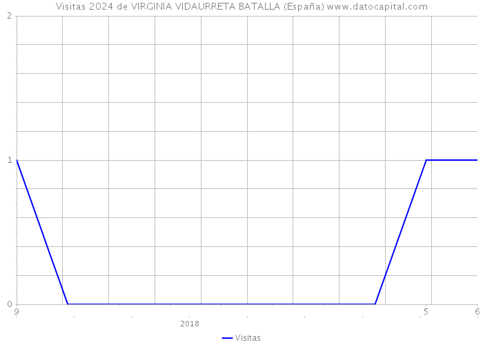 Visitas 2024 de VIRGINIA VIDAURRETA BATALLA (España) 