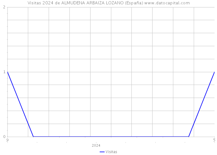 Visitas 2024 de ALMUDENA ARBAIZA LOZANO (España) 