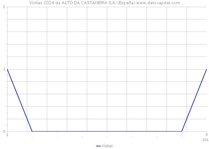 Visitas 2024 de ALTO DA CASTANEIRA S.A. (España) 