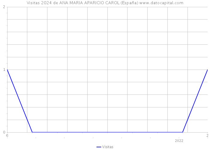 Visitas 2024 de ANA MARIA APARICIO CAROL (España) 