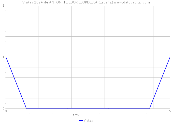 Visitas 2024 de ANTONI TEJEDOR LLORDELLA (España) 