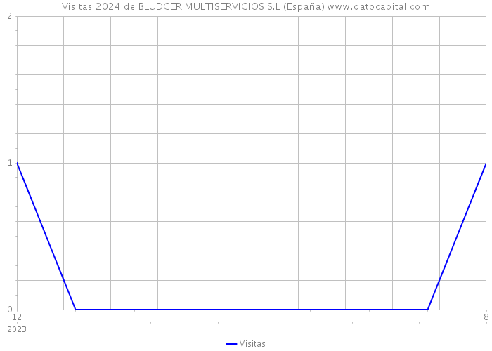 Visitas 2024 de BLUDGER MULTISERVICIOS S.L (España) 