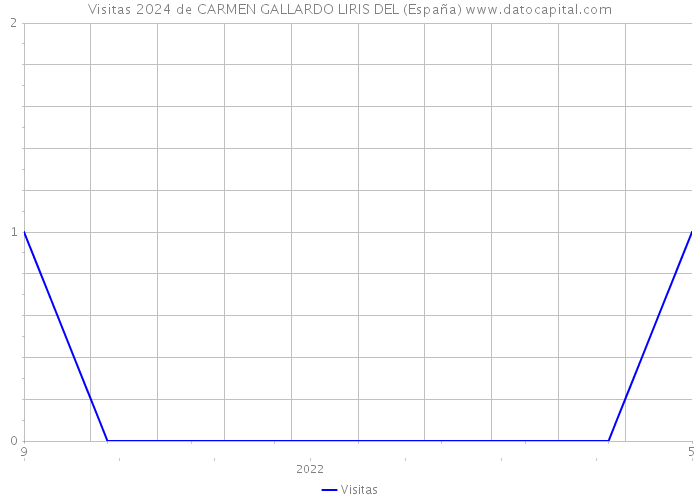 Visitas 2024 de CARMEN GALLARDO LIRIS DEL (España) 