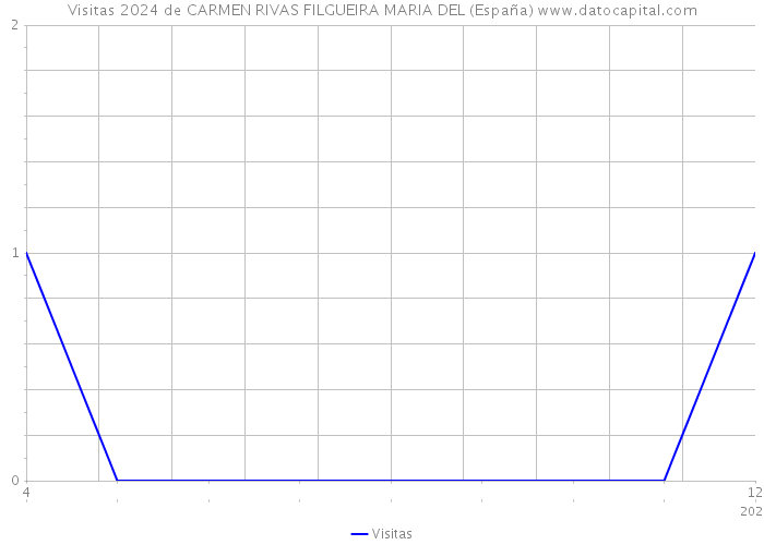 Visitas 2024 de CARMEN RIVAS FILGUEIRA MARIA DEL (España) 
