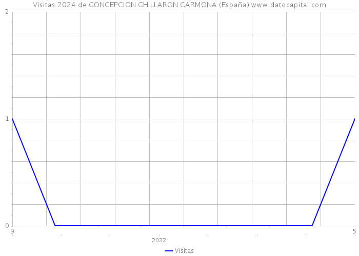 Visitas 2024 de CONCEPCION CHILLARON CARMONA (España) 