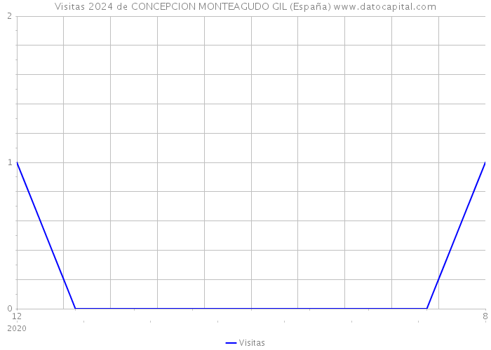 Visitas 2024 de CONCEPCION MONTEAGUDO GIL (España) 