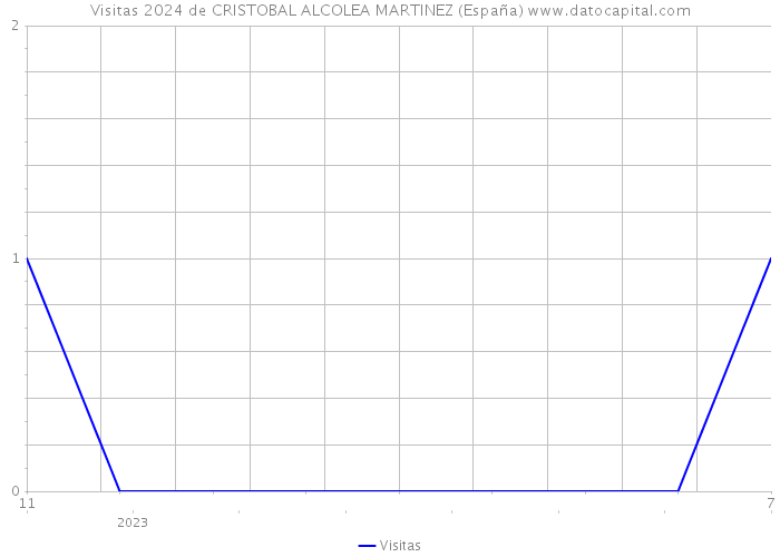 Visitas 2024 de CRISTOBAL ALCOLEA MARTINEZ (España) 