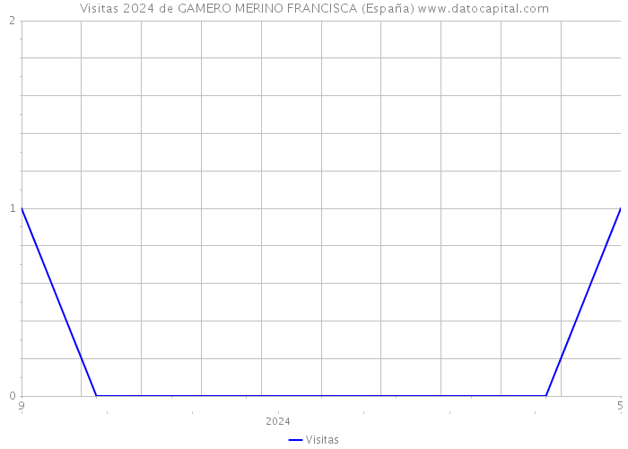 Visitas 2024 de GAMERO MERINO FRANCISCA (España) 