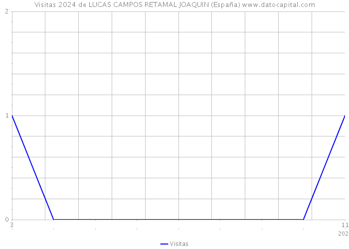 Visitas 2024 de LUCAS CAMPOS RETAMAL JOAQUIN (España) 