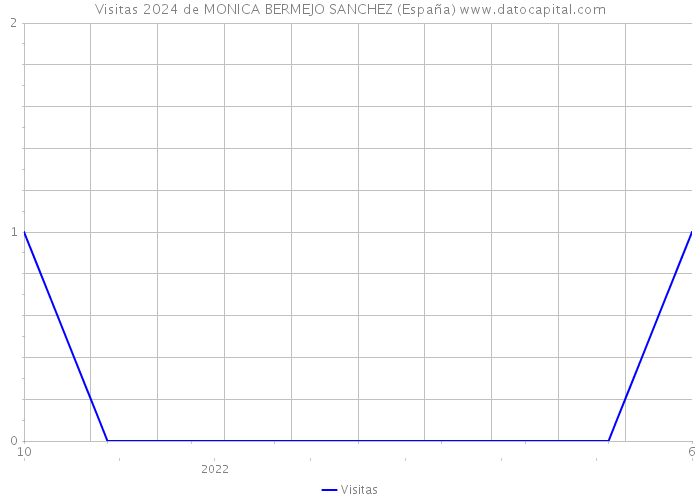 Visitas 2024 de MONICA BERMEJO SANCHEZ (España) 