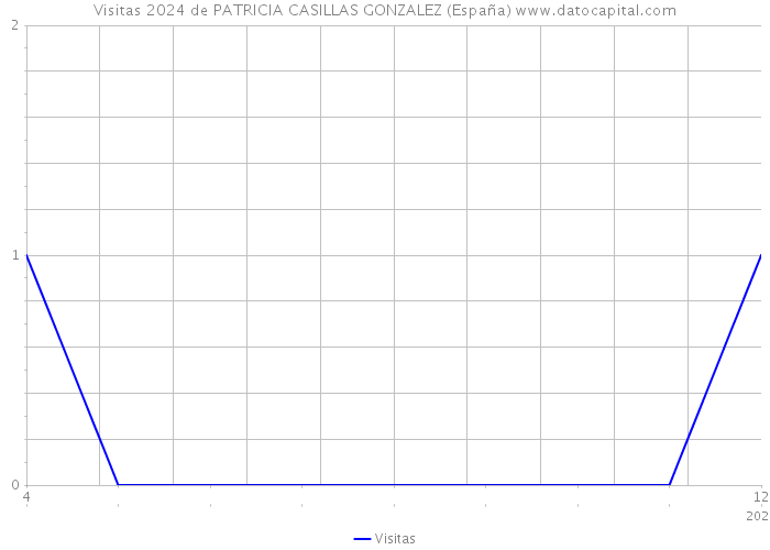 Visitas 2024 de PATRICIA CASILLAS GONZALEZ (España) 