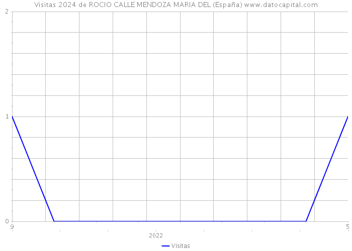 Visitas 2024 de ROCIO CALLE MENDOZA MARIA DEL (España) 