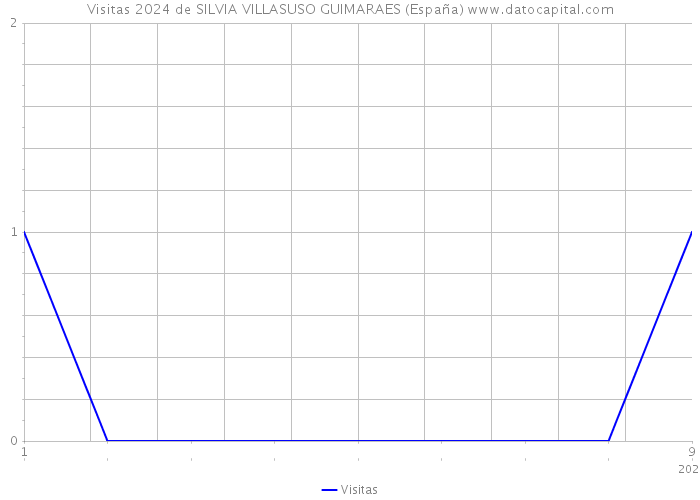 Visitas 2024 de SILVIA VILLASUSO GUIMARAES (España) 