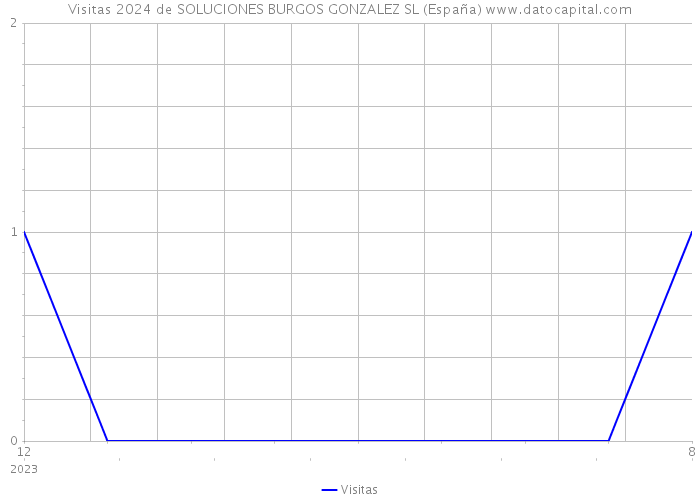 Visitas 2024 de SOLUCIONES BURGOS GONZALEZ SL (España) 