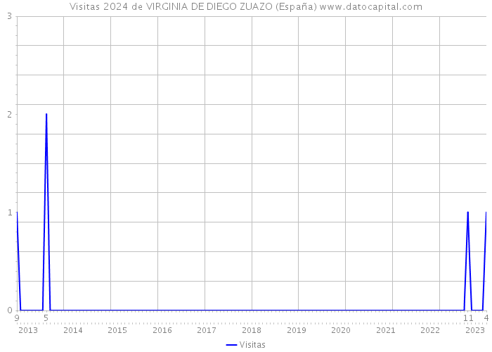 Visitas 2024 de VIRGINIA DE DIEGO ZUAZO (España) 