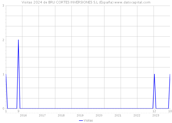Visitas 2024 de BRU CORTES INVERSIONES S.L (España) 