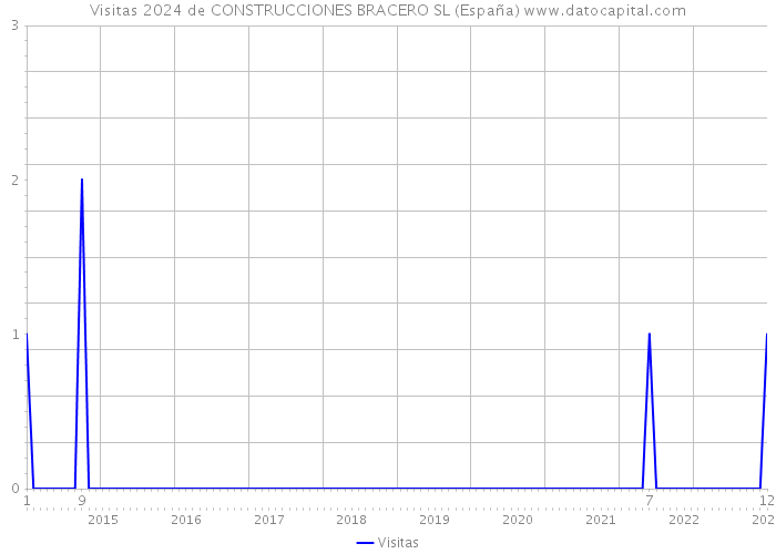 Visitas 2024 de CONSTRUCCIONES BRACERO SL (España) 