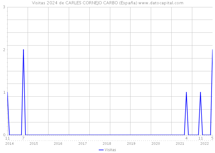 Visitas 2024 de CARLES CORNEJO CARBO (España) 
