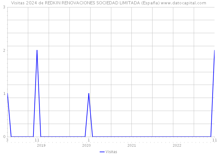 Visitas 2024 de REDKIN RENOVACIONES SOCIEDAD LIMITADA (España) 