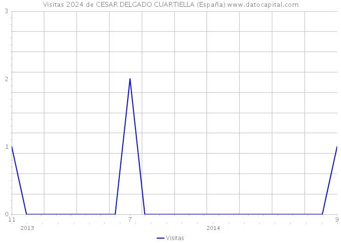 Visitas 2024 de CESAR DELGADO CUARTIELLA (España) 