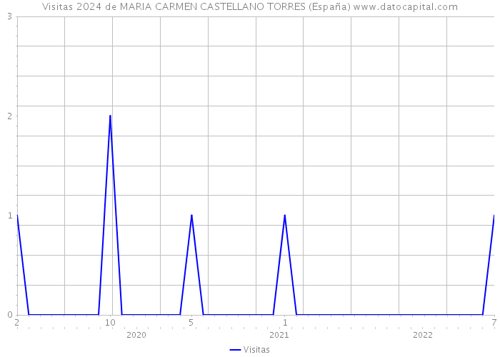 Visitas 2024 de MARIA CARMEN CASTELLANO TORRES (España) 