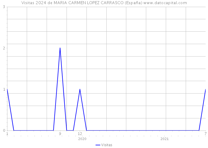 Visitas 2024 de MARIA CARMEN LOPEZ CARRASCO (España) 