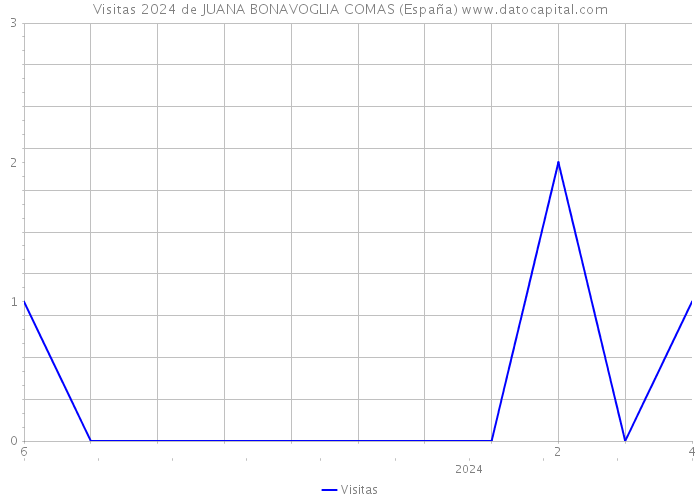 Visitas 2024 de JUANA BONAVOGLIA COMAS (España) 
