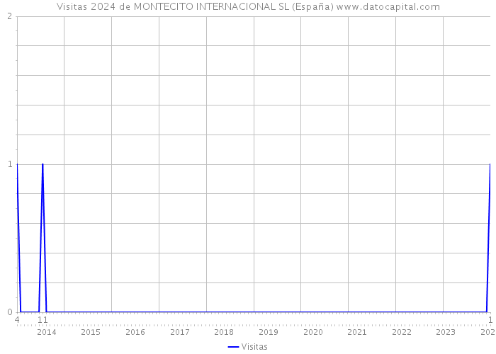 Visitas 2024 de MONTECITO INTERNACIONAL SL (España) 