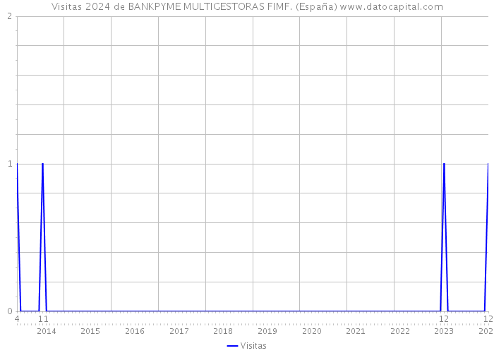 Visitas 2024 de BANKPYME MULTIGESTORAS FIMF. (España) 