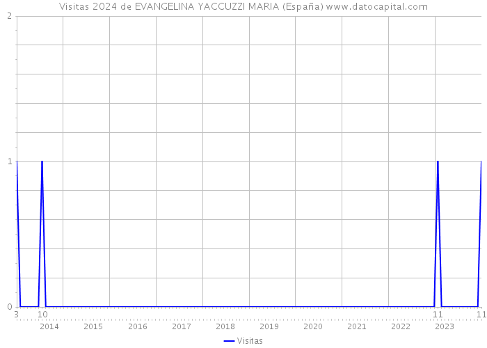 Visitas 2024 de EVANGELINA YACCUZZI MARIA (España) 