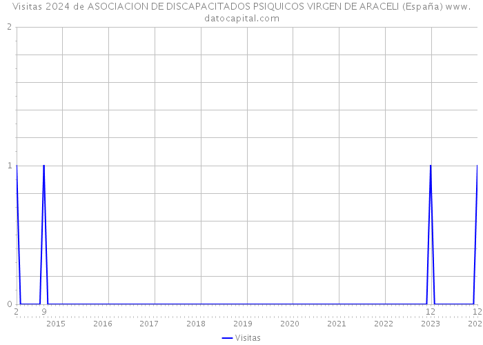 Visitas 2024 de ASOCIACION DE DISCAPACITADOS PSIQUICOS VIRGEN DE ARACELI (España) 