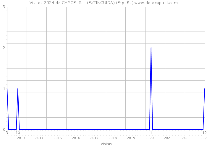 Visitas 2024 de CAYCEL S.L. (EXTINGUIDA) (España) 