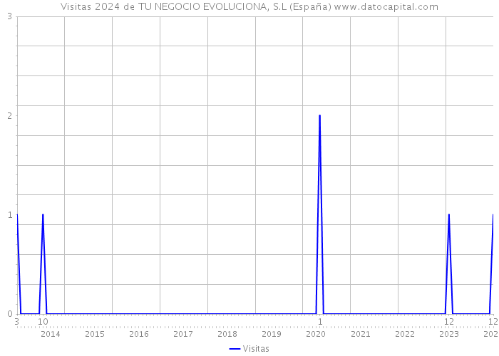 Visitas 2024 de TU NEGOCIO EVOLUCIONA, S.L (España) 