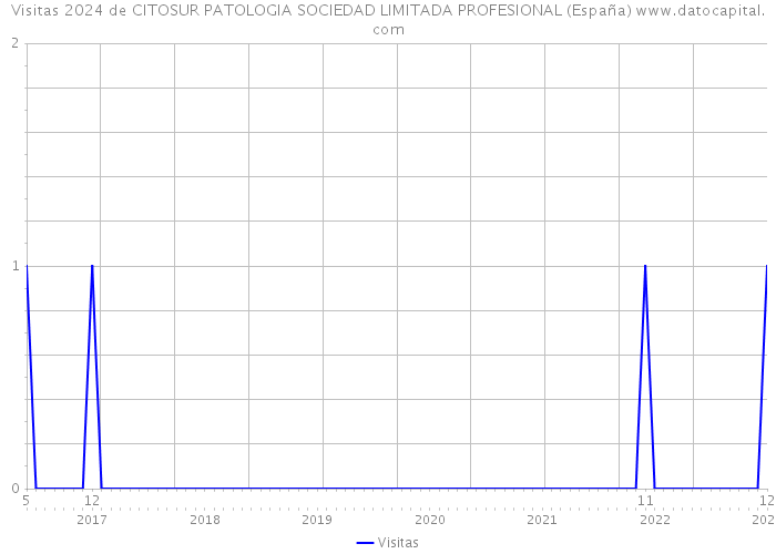 Visitas 2024 de CITOSUR PATOLOGIA SOCIEDAD LIMITADA PROFESIONAL (España) 