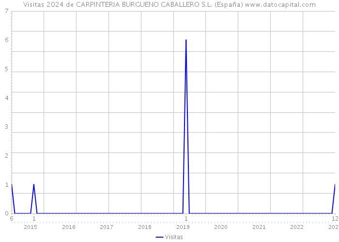 Visitas 2024 de CARPINTERIA BURGUENO CABALLERO S.L. (España) 