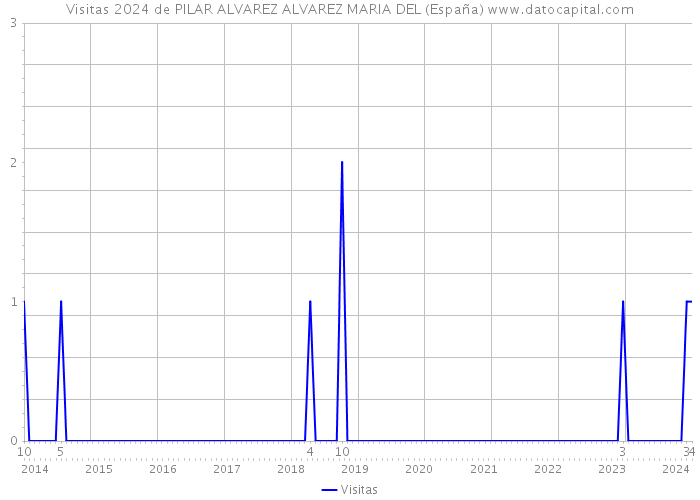 Visitas 2024 de PILAR ALVAREZ ALVAREZ MARIA DEL (España) 