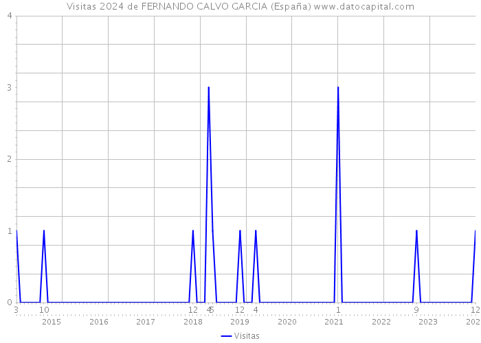 Visitas 2024 de FERNANDO CALVO GARCIA (España) 
