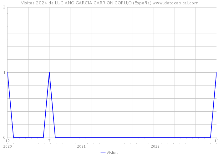 Visitas 2024 de LUCIANO GARCIA CARRION CORUJO (España) 