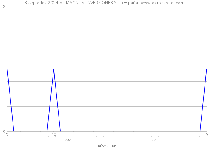 Búsquedas 2024 de MAGNUM INVERSIONES S.L. (España) 