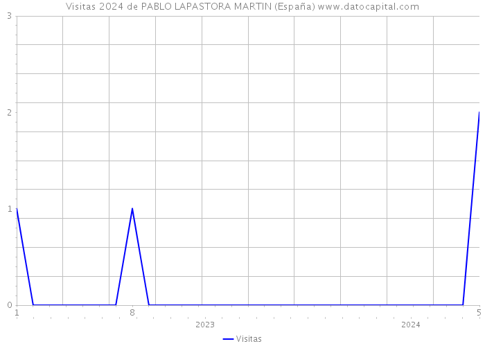 Visitas 2024 de PABLO LAPASTORA MARTIN (España) 