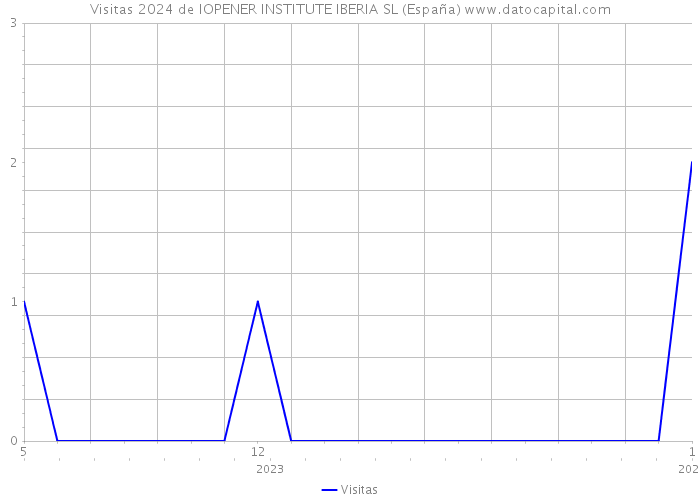 Visitas 2024 de IOPENER INSTITUTE IBERIA SL (España) 