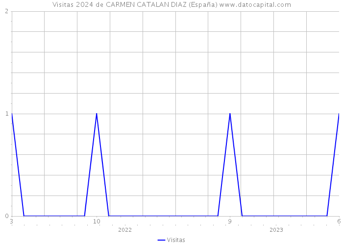 Visitas 2024 de CARMEN CATALAN DIAZ (España) 