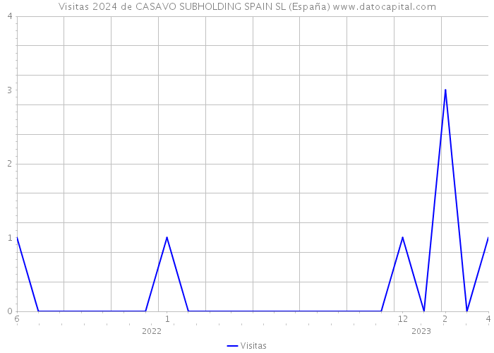 Visitas 2024 de CASAVO SUBHOLDING SPAIN SL (España) 
