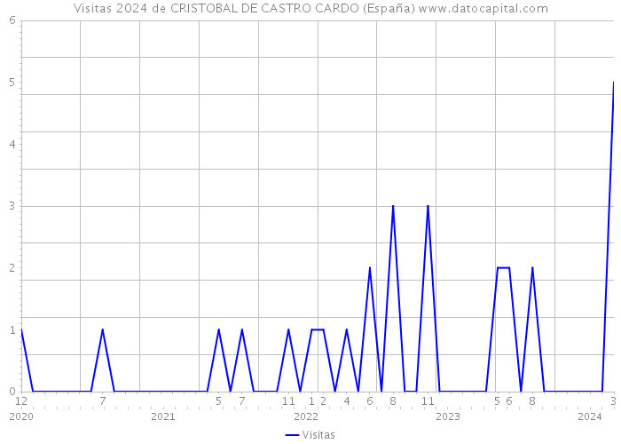 Visitas 2024 de CRISTOBAL DE CASTRO CARDO (España) 