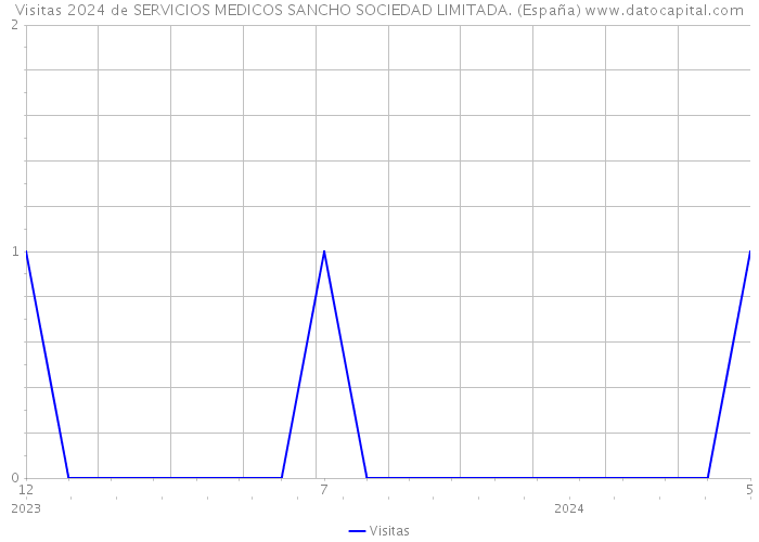 Visitas 2024 de SERVICIOS MEDICOS SANCHO SOCIEDAD LIMITADA. (España) 