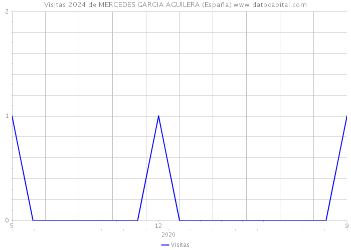 Visitas 2024 de MERCEDES GARCIA AGUILERA (España) 