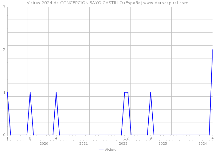 Visitas 2024 de CONCEPCION BAYO CASTILLO (España) 
