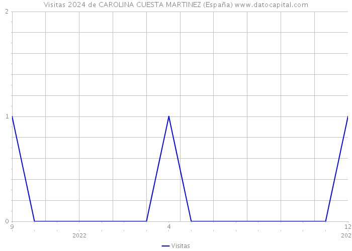 Visitas 2024 de CAROLINA CUESTA MARTINEZ (España) 