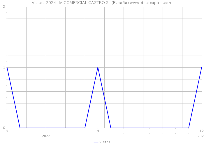 Visitas 2024 de COMERCIAL CASTRO SL (España) 
