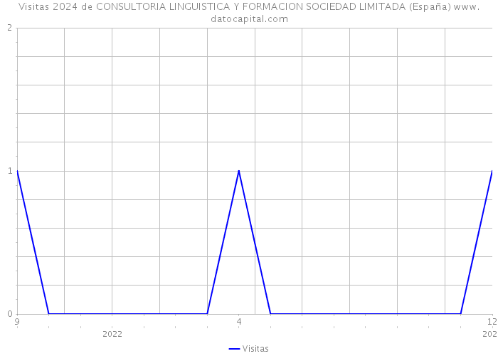Visitas 2024 de CONSULTORIA LINGUISTICA Y FORMACION SOCIEDAD LIMITADA (España) 
